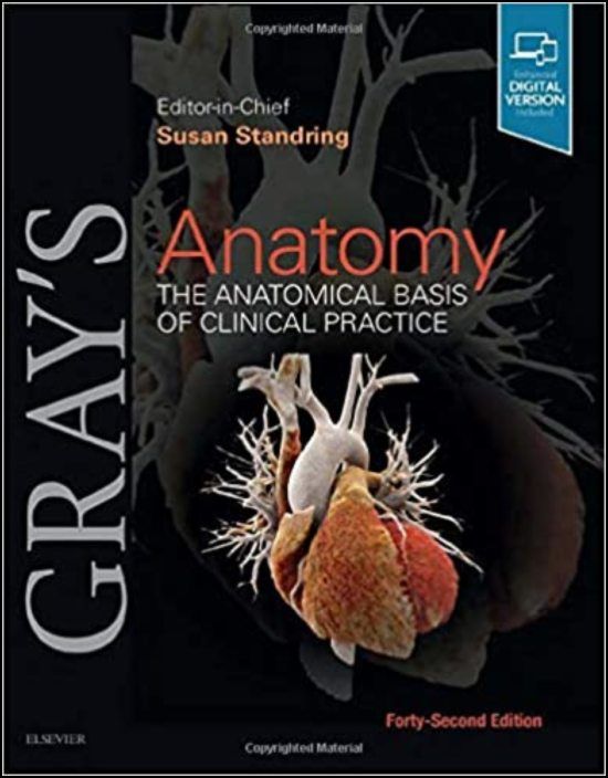Gray's Anatomy - The Anatomical Basics of Clinical Practice