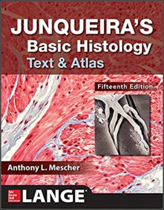 Junqueira´s Basic Histology - Text and Atlas