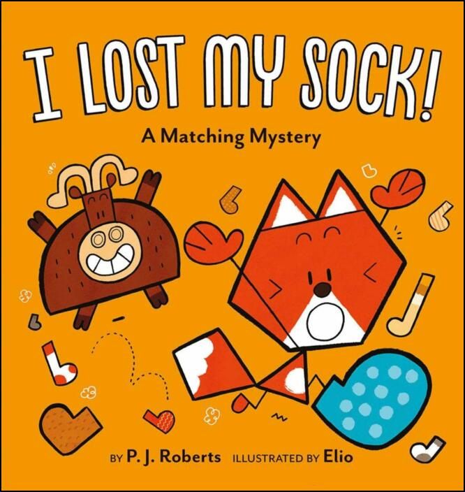 I Lost My Sock! A Matching Mystery