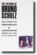 The Fictions of Bruno Schulz