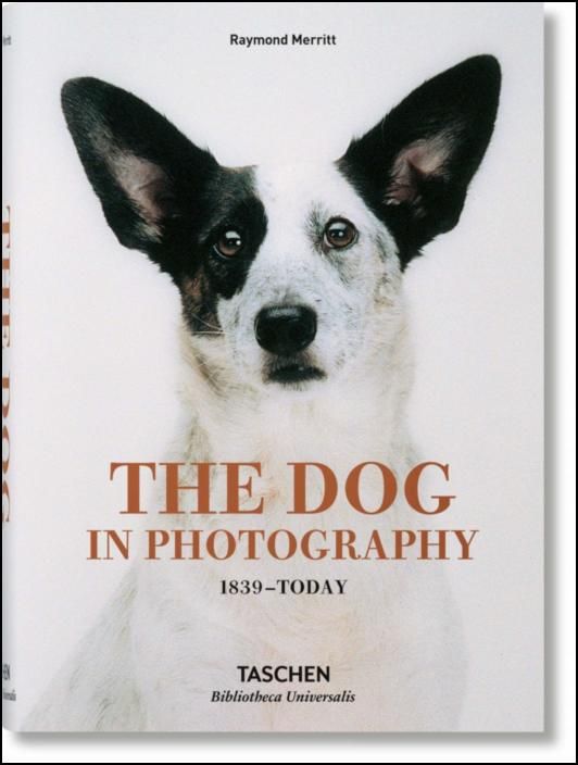 The Dog in Photography: 1839-Today