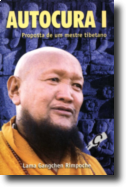 Autocura: proposta de um mestre tibetano - Vol. I