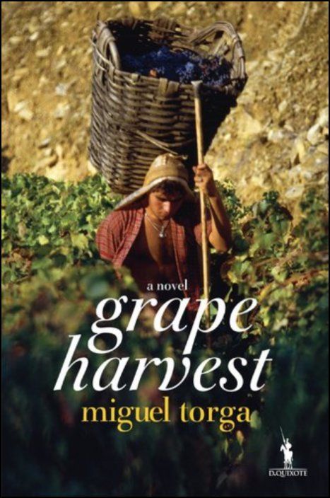 Grape Harvest