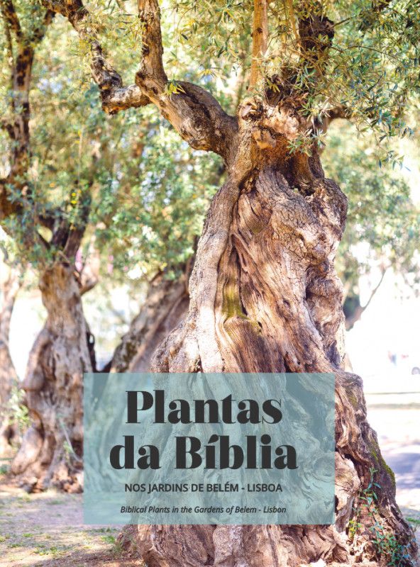 Plantas da Bíblia nos Jardins de Belém - Lisboa - Biblical Plants in the Garden of Belem - Lisbon