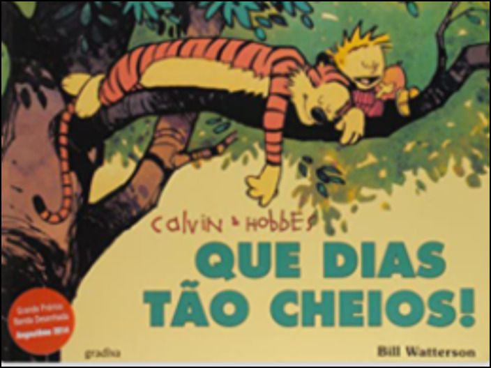 Calvin & Hobbes - Que Dias Tão Cheios