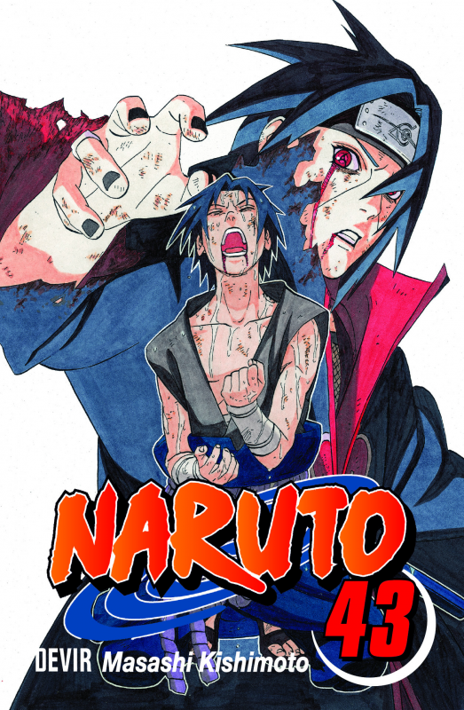 Naruto 43 - O portador da verdade