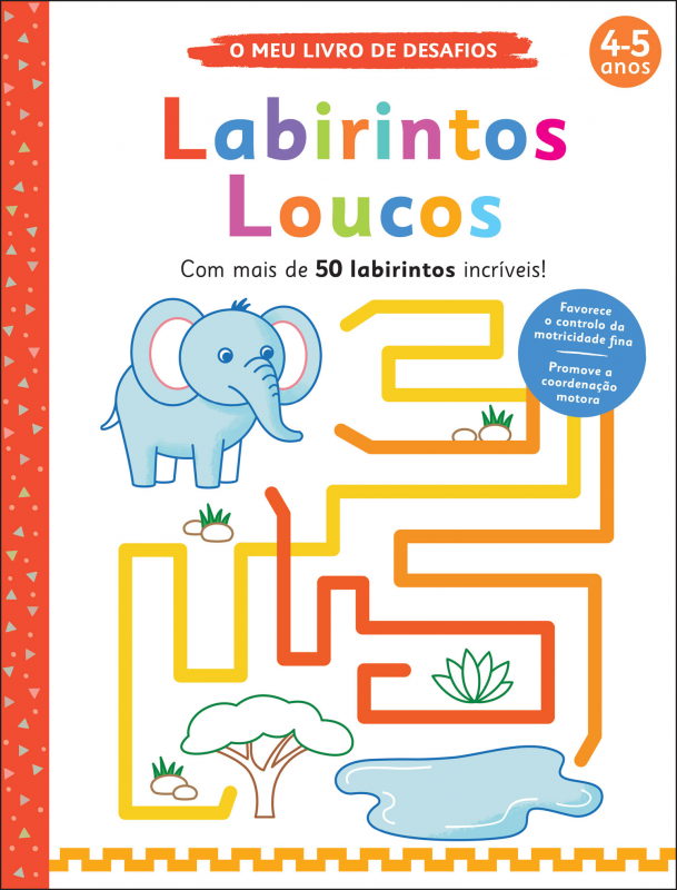 O Meu Livro de Desafios - Labirintos Loucos