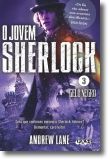 O Jovem Sherlock Holmes: gelo negro - N.º 3