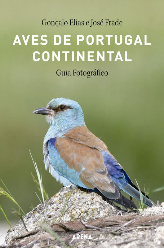 Aves De Portugal Continental