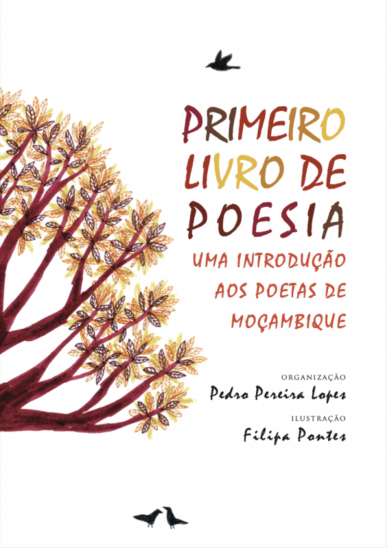 Primeiro Livro de Poesia - Uma introdução aos poetas de Moçambique