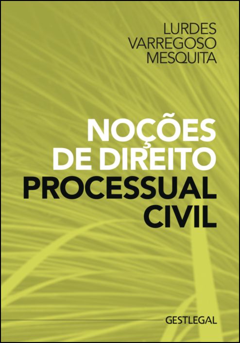 Noções de Direito Processual Civil