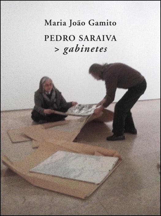Pedro Saraiva> gabinetes