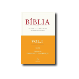 Bíblia - Volume I - Novo Testamento [Os Quatro Evangelhos] by Anonymous