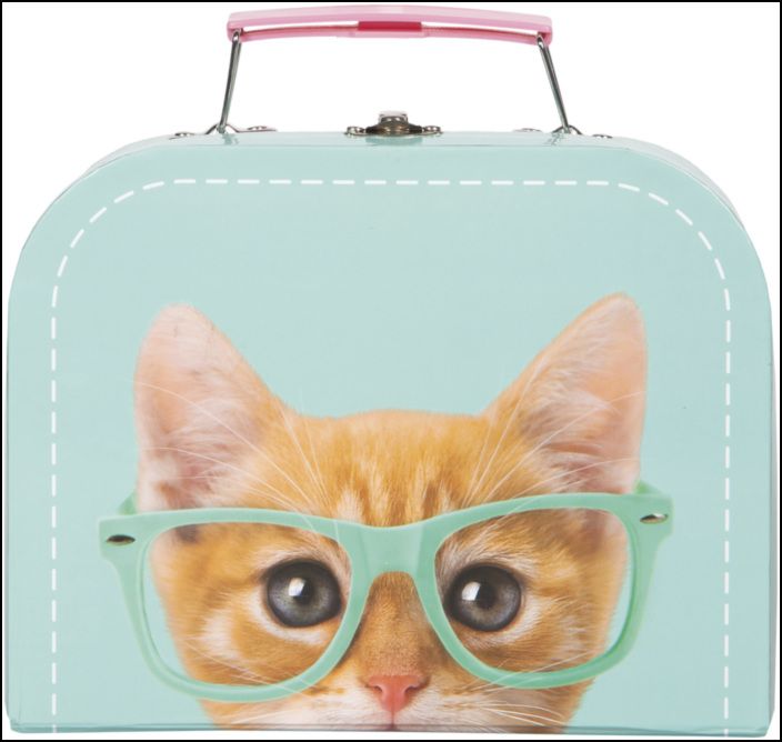 Studio Pets - RayBen - Malinha com Peluche com 16 cm e Livro de Atividades