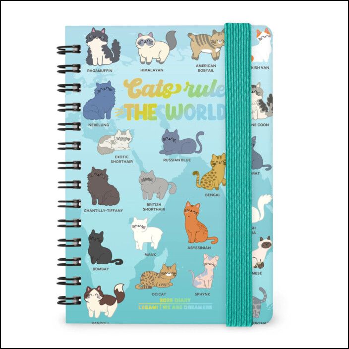12-Month Diary - 2026 - Small Weekly Spiral Bound - Kitty
