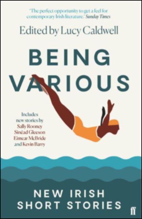 Being Various: New Irish Short Stories