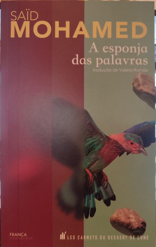 A Esponja das Palavras