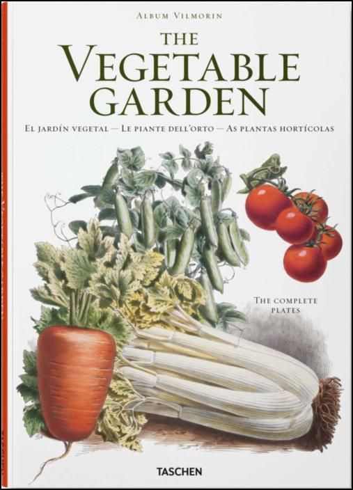 Vegetable Garden  (Italian, Portuguese and Spanish Edition)