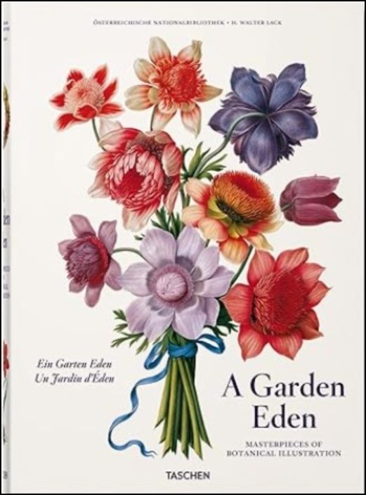 A Garden Eden