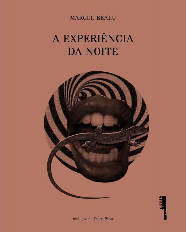 A Experiência da Noite