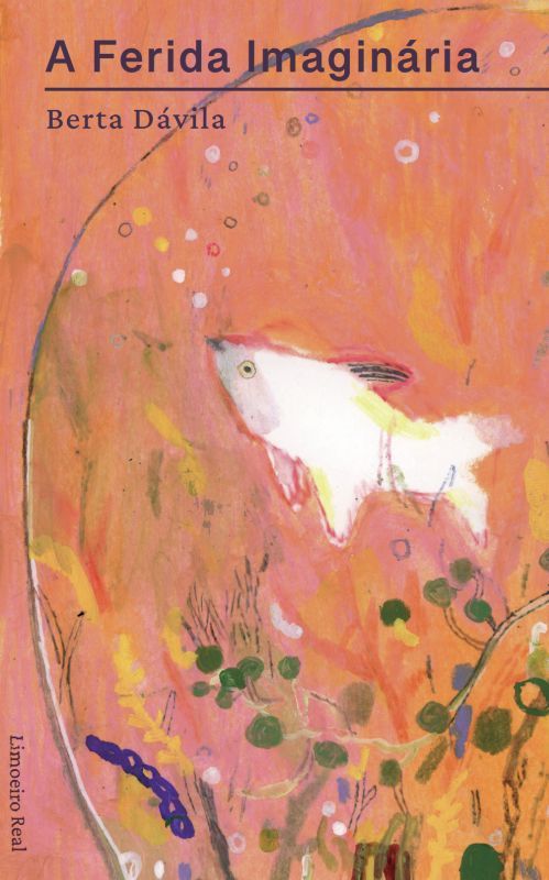 A Ferida Imaginária