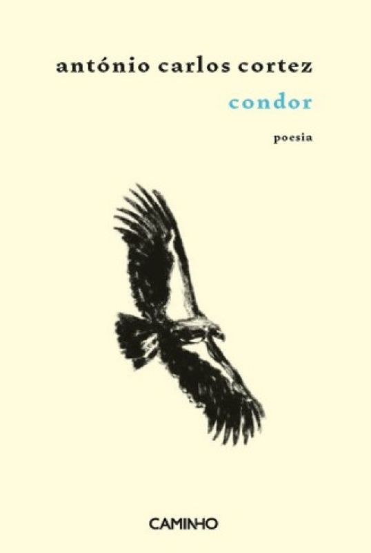 Condor