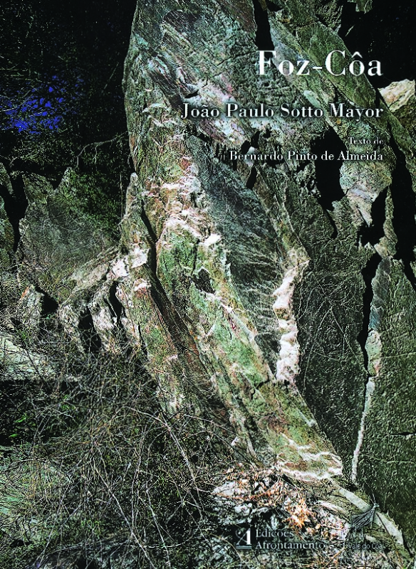 Foz-Côa