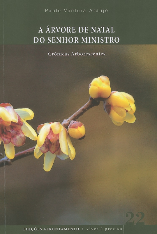 A Árvore de Natal do Senhor Ministro