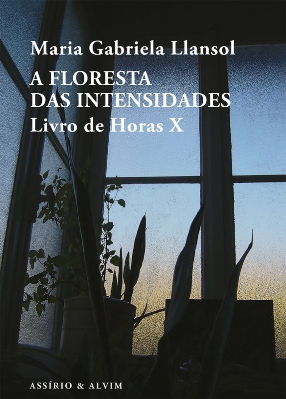 A Floresta das Intensidades - Livro de Horas X
