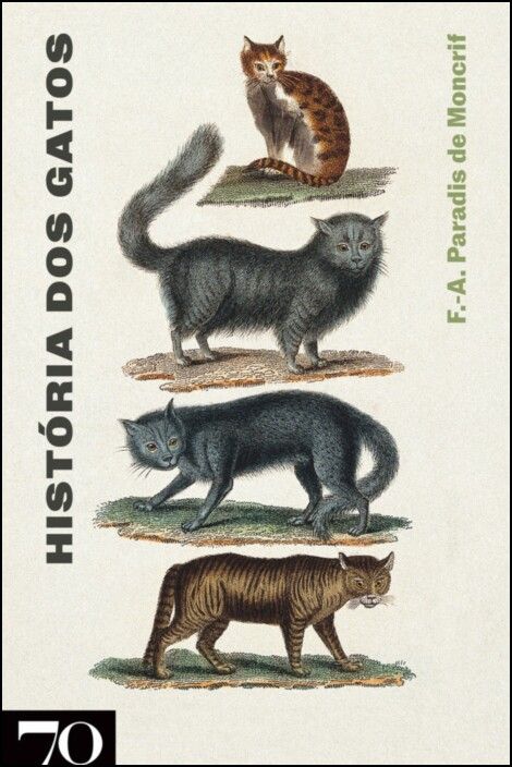 História dos Gatos