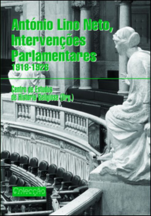 António Lino Neto, Intervenções Parlamentares 1918-1926