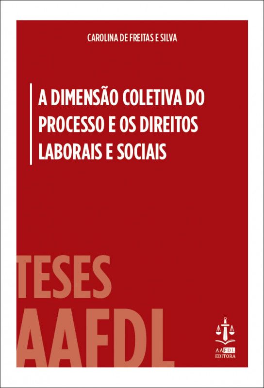A Dimensão Coletiva do Processo e Os Direitos Laborais e Sociais