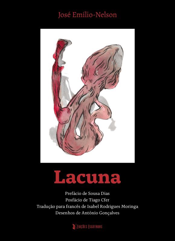 Lacuna