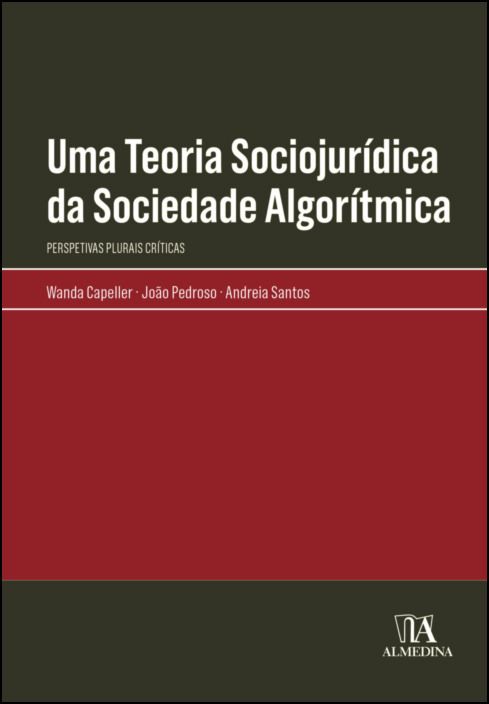Uma Teoria Sociojurídica da Sociedade Algorítmica