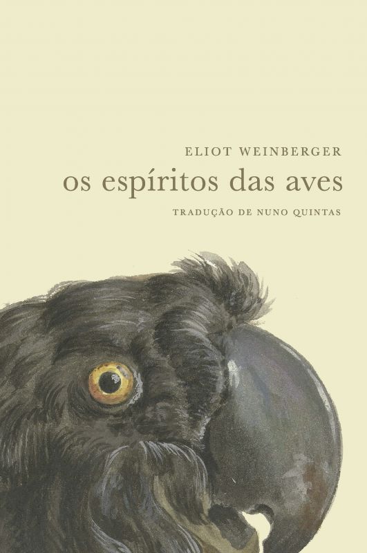 Os Espíritos das Aves