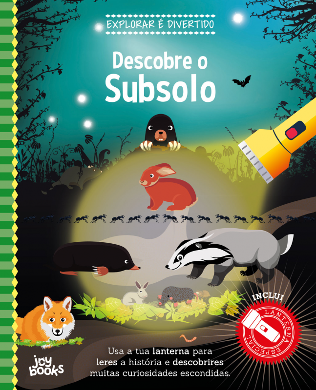 Explorar É Divertido: Descobre o Subsolo