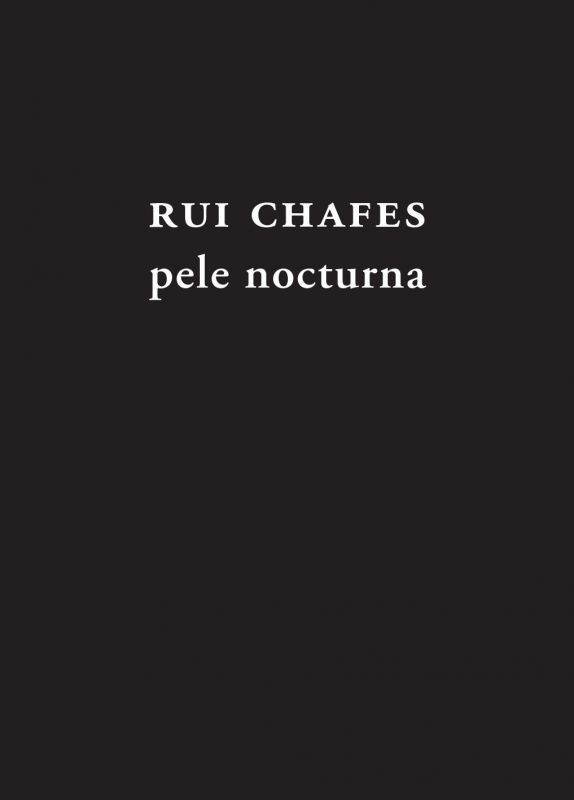 Pele Nocturna - Esculturas 2017-2024