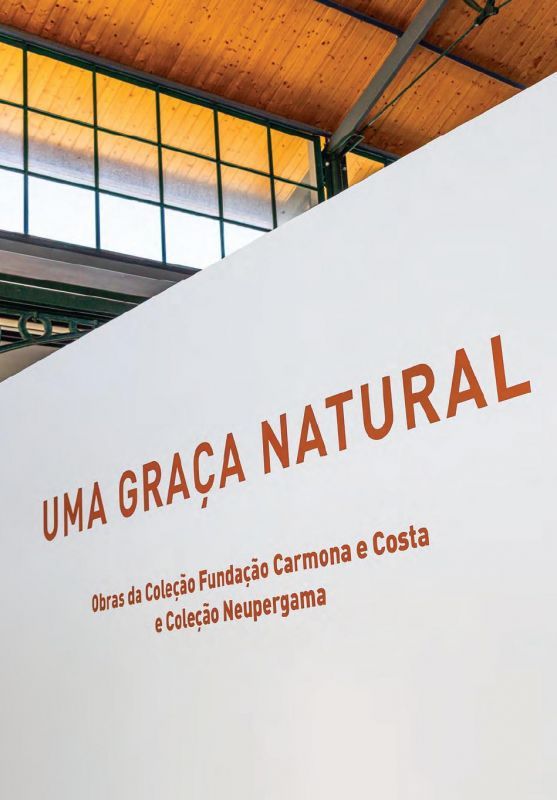 Uma Graça Natural — Obras da Coleção Fundação Carmona e Costa e Coleção Neupergama