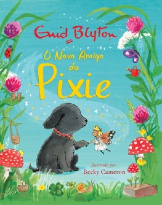 O Novo Amigo da Pixie
