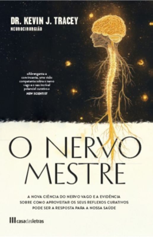 O Nervo Mestre