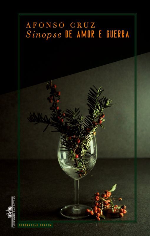 Sinopse de Amor e Guerra - Livro de Bolso