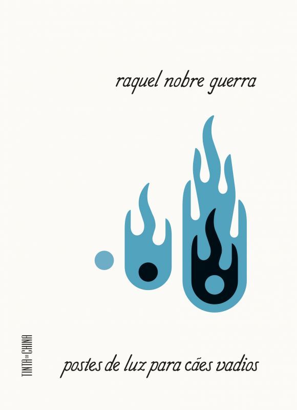 Postes de Luz para Cães Vadios