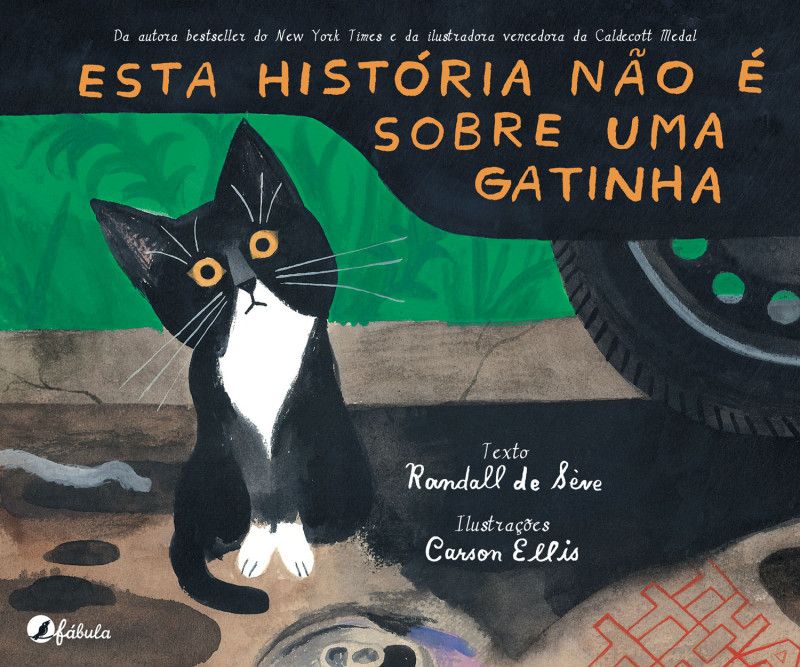 Esta História não é Sobre uma Gatinha