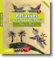 Reflexões no mundo da simetria - 9 aos 11 Anos
