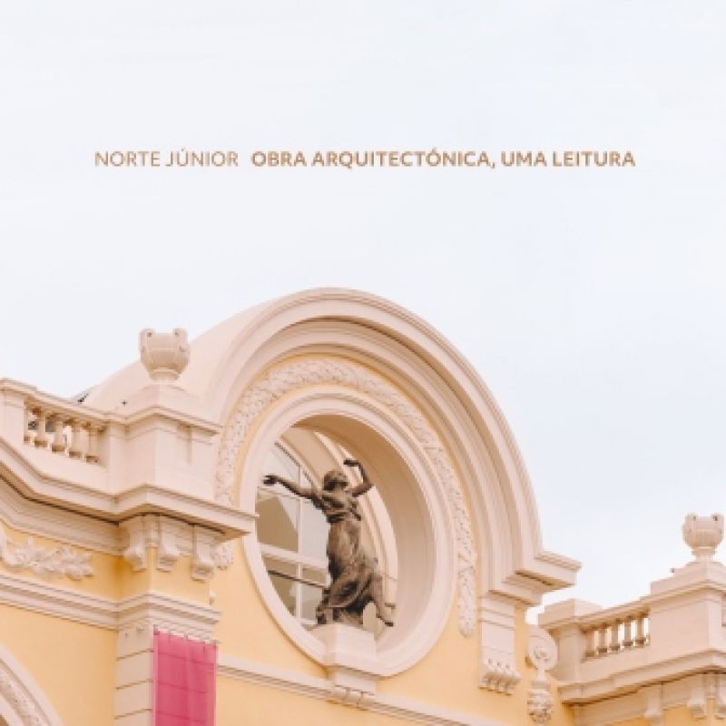 Norte Júnior - Obra Arquitectónica, Uma Leitura