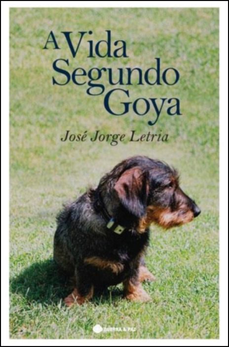 A Vida Segundo Goya