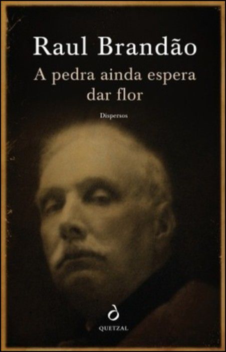 A Pedra ainda Espera Dar Flor - Dispersos