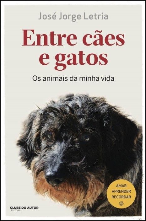 Entre Cães e Gatos