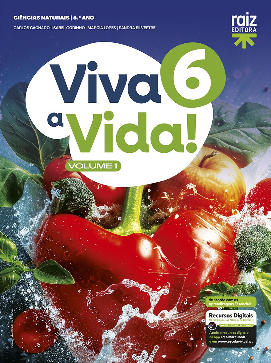Viva a Vida! 6