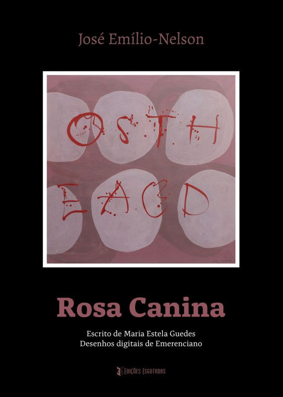 Rosa Canina